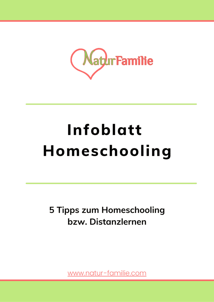 Infoblatt Homeschooling 5 Tipps gegen Schulstress