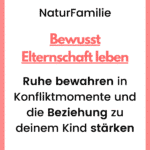 Kinder auf Augenhöhe bindungsorientiert begleiten und Konflikte lösen